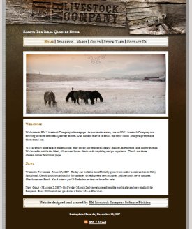 BM Livestock Company Website